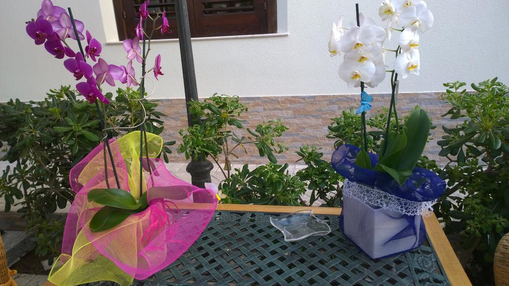 B&B Villa Bea San Vito Lo Capo Exterior foto